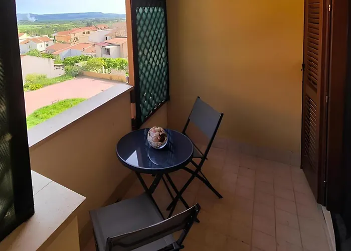 Agave Ольмедо